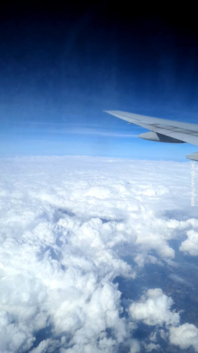 RJ85Avro's tweet photo. @B777_300ER_Air 😄😋🍻
#ItsAmazingUpThere #Boeing777
#AVGeek #InfectedWithAviophilia© #Aviation ♾
#WindowSeatsOnlyPls #WingPix
#Clouds #Sunset #Weather https://t.co/VjJY4YG0WU