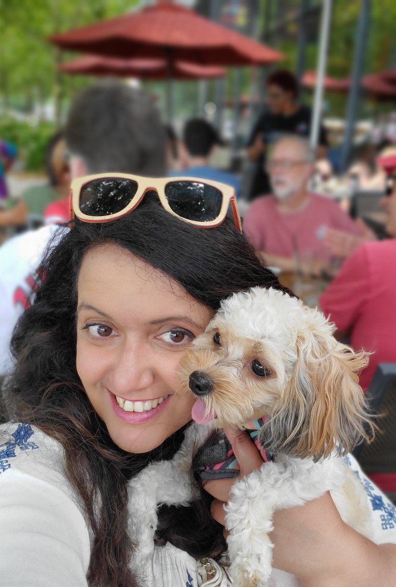 YemeniFatima's tweet photo. Happy #NationalDogDay2019! With Leela, AKA the Distracter in Chief, who just turned one a couple of days ago. Leela hates it when I write or tweet...she recently started to shut down my laptop and sit on it everytime I start to type! 

#NationalDogsDay https://t.co/KYyKut3Mkq
