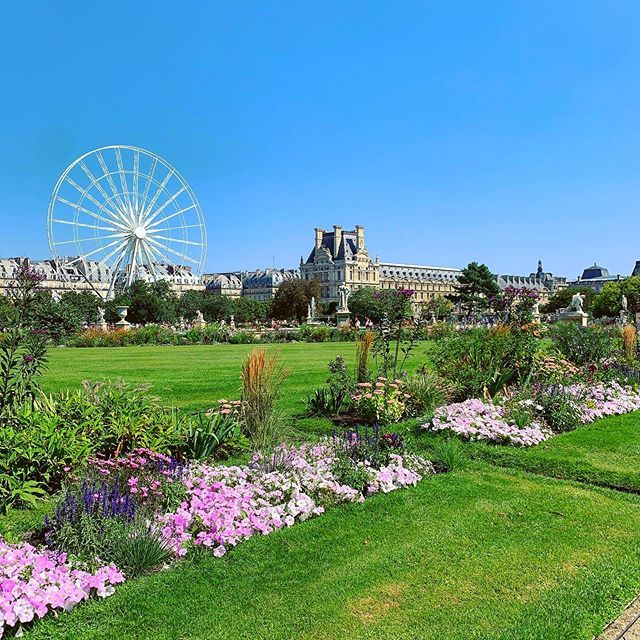 GS_adventures's tweet photo. Les jardins des tuileries outside the Louvre is a beautiful space to stroll even in a heat wave. https://t.co/CaEmx47f7q https://t.co/VpuNj2LFRg