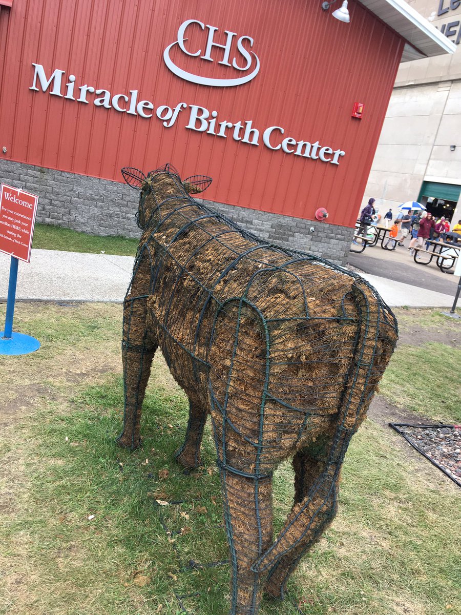 State Fair yarn bombers, please report to the Miracle of Birth barn. Nobody has this topiary’s back.