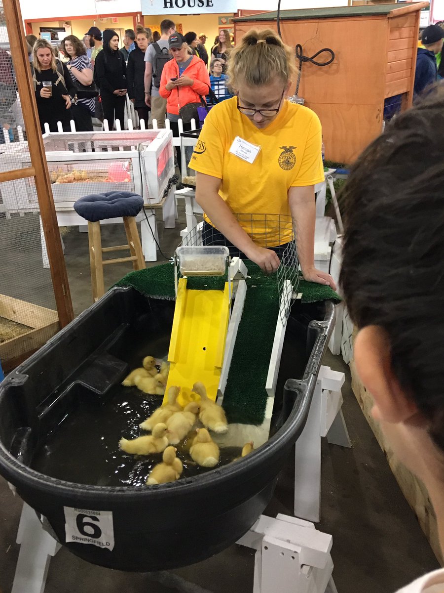 Slightly-Less-Giant Duckling Slide