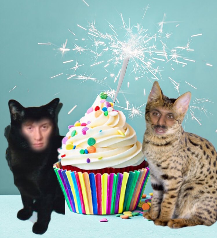 jamesaCATster's tweet photo. HAPPY CAT BIRTHDAY @MrNishKumar 🎉🎊 153 cat years today https://t.co/OFJMrEtepR
