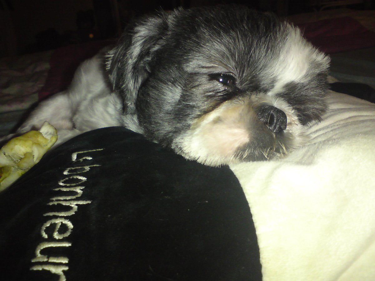 Langeluce tweet media