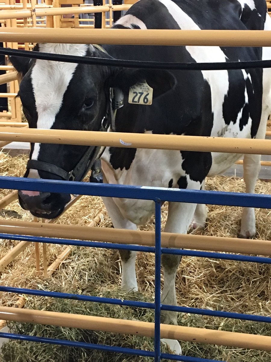 Would pat, but mama is giving me the stink eye.