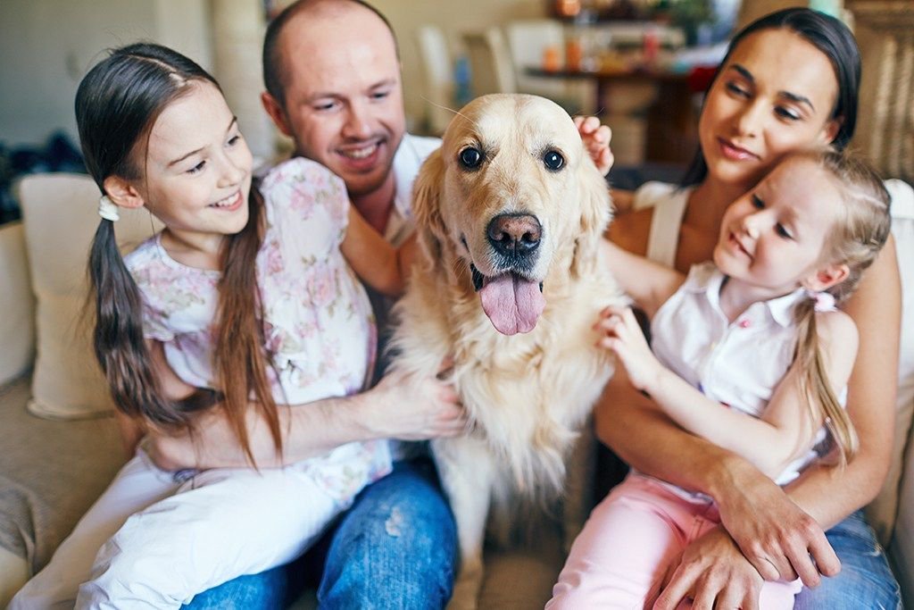 Andrews_Moving's tweet photo. Do you have pets and plan on moving soon? Here are some tips to help your furry friends with the move so they are less stressed. #movingwithpets #furbabies

https://t.co/RP03fHUQlG https://t.co/2uKR1JIRas