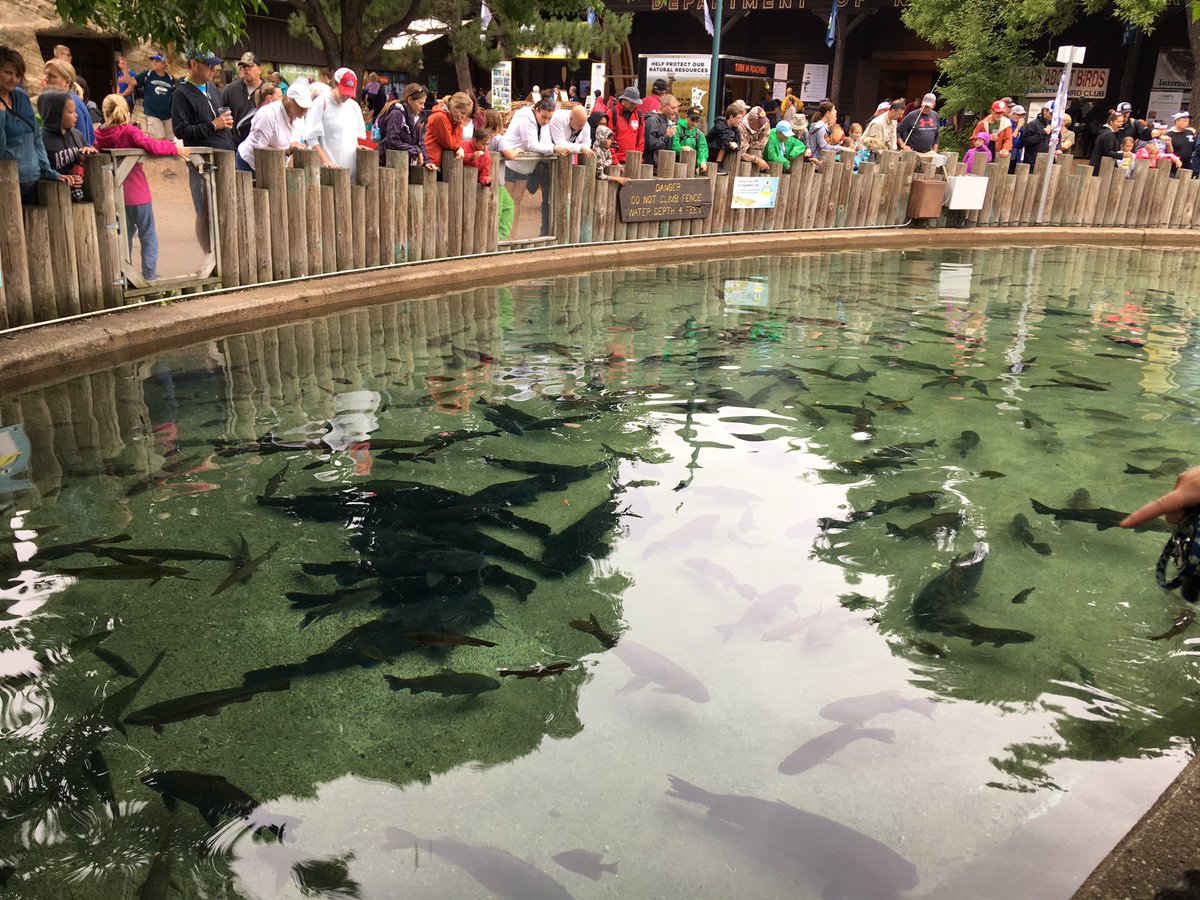 Look at the Minnesotans looking at fish and let all your cares melt away.