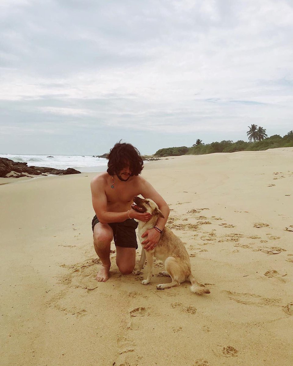 #InternationalDogDay 🐕