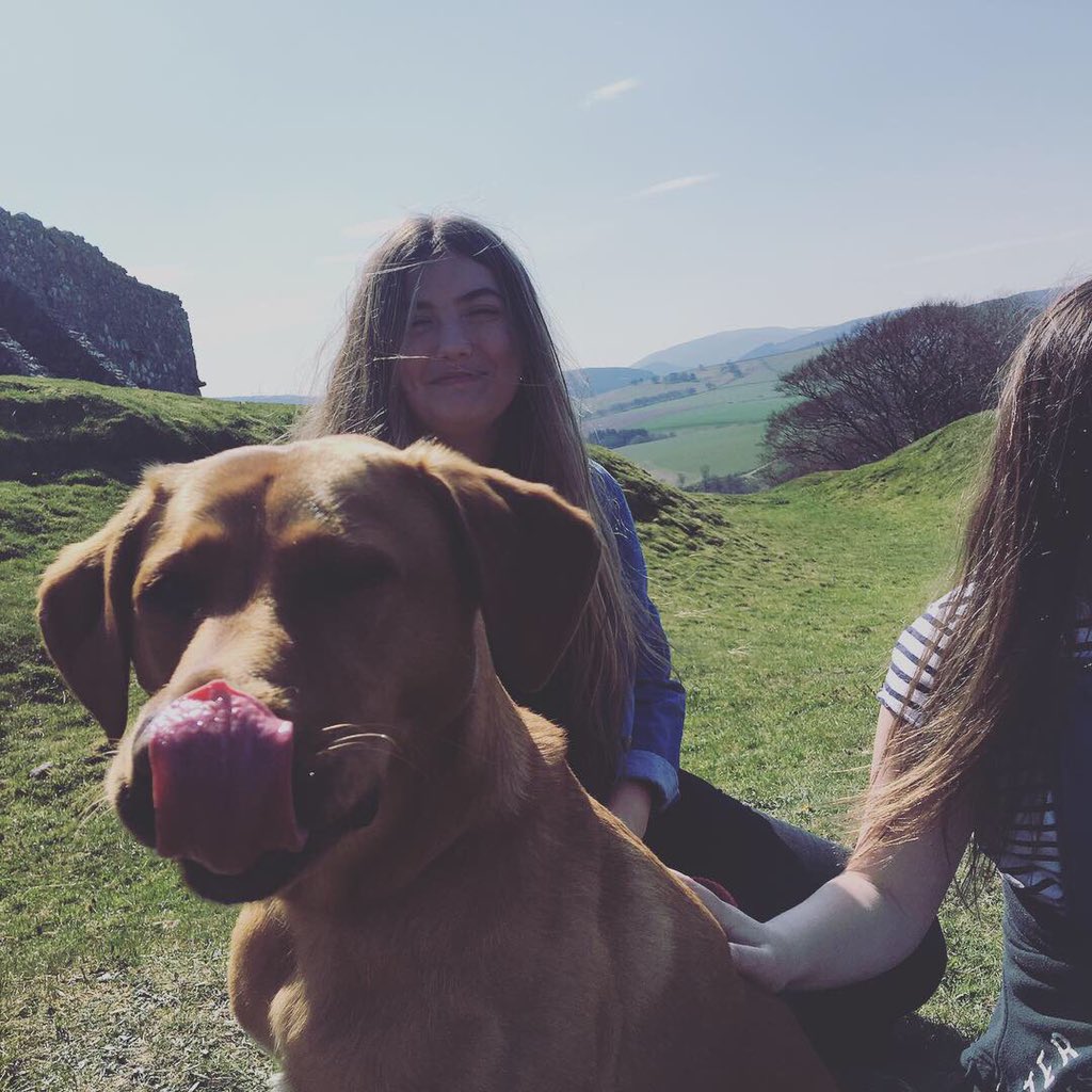 MorayShona's tweet photo. Happy #InternationalDogsDay from our much loved #Noratheexplorer who makes us π€£ everyday π₯°. https://t.co/fk2V2yjcjB