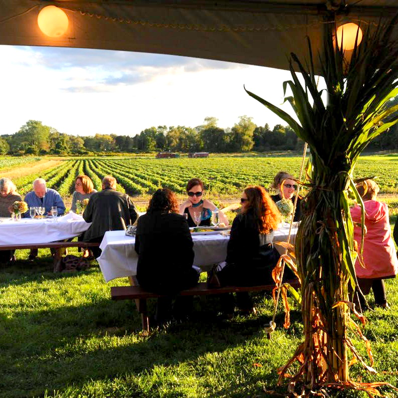 Fiorella's Cucina tweet media