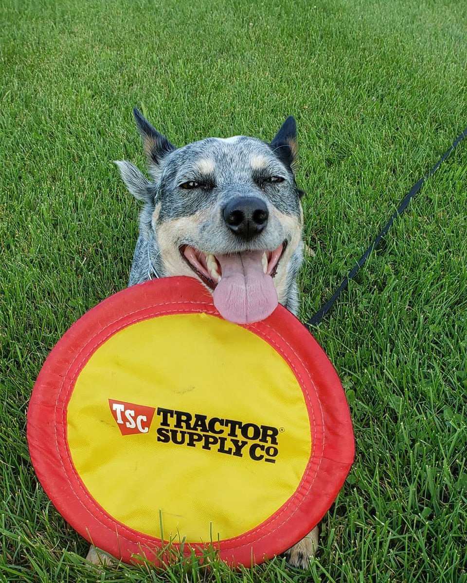 Tractor Supply At Tractorsupply Twitter