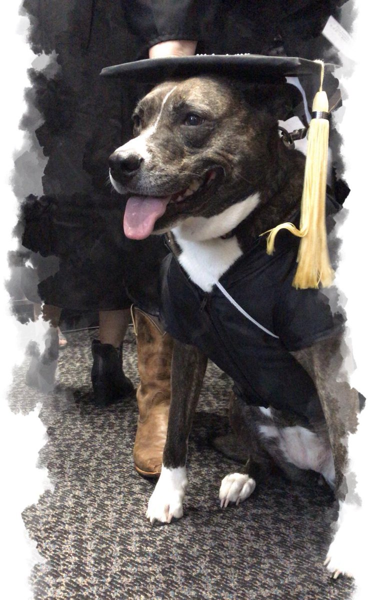 Happy National "Dawg" Day! CAES loves our #AgDawgs and their dogs! Retweet this happy dog to brighten up your Monday! #NationalDogDay #NationalDawgDay