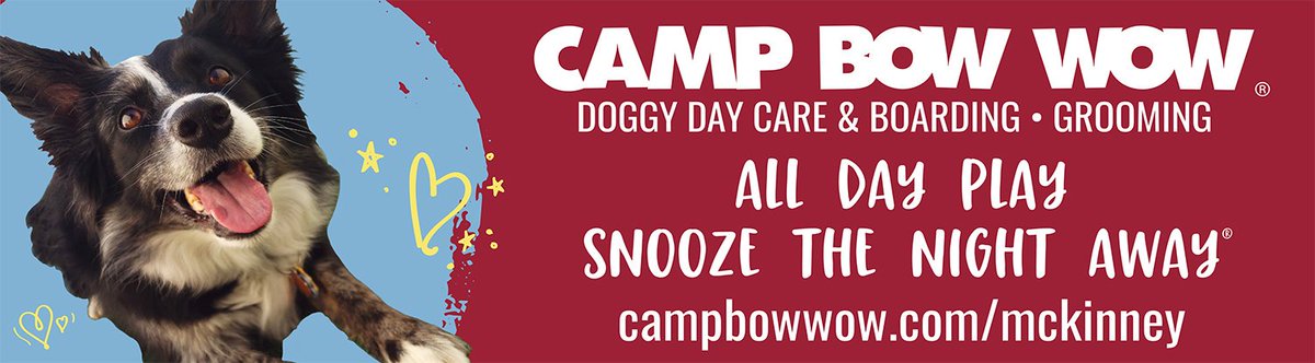 PrimaryMedia's tweet photo. It's #NationalDogDay! Today is the day to spoil your sweet puppy! What better way than to take them to @CampBowWow_Tx! π©π
#DogDay #OOH #CampBowWow #PrimaryMedia https://t.co/Sz9jZ1zBm7