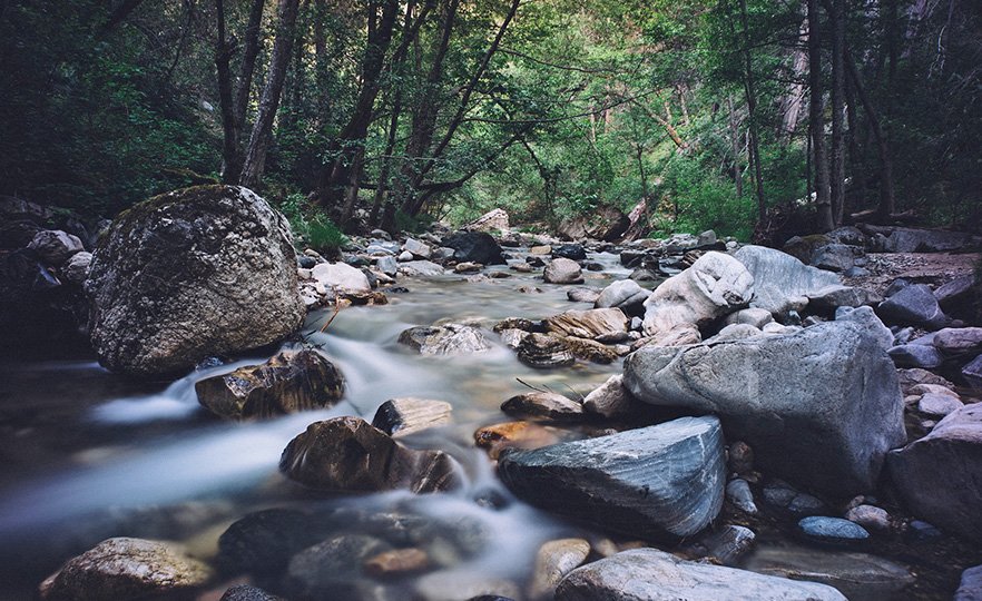 mnforestry's tweet photo. Forests slow runoff & reduce the amount of sediment entering our lakes and rivers. #CleanWaterMN #NationalWaterQualityMonth https://t.co/xiqy7nLVcJ