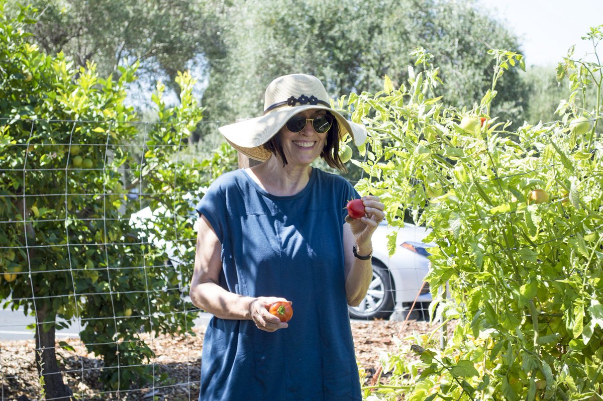 Our hearts need sacred spaces to be renewed in God's love.  The gardens at our Motherhouse are sacred spaces to connect with the goodness and joy of creation.  What are the sacred spaces in your life?