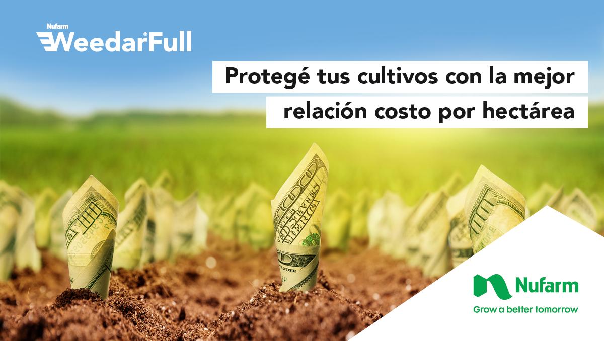 sumitomochem_ar's tweet photo. ¿Sabías que #WeedarFull ofrece la mejor compatibilidad? No precipita en mezclas de tanque por su exclusiva combinación de sales amina 🌱 Descubrilo 👉 https://t.co/LDa26LPPaE https://t.co/R6IQFbuE9I