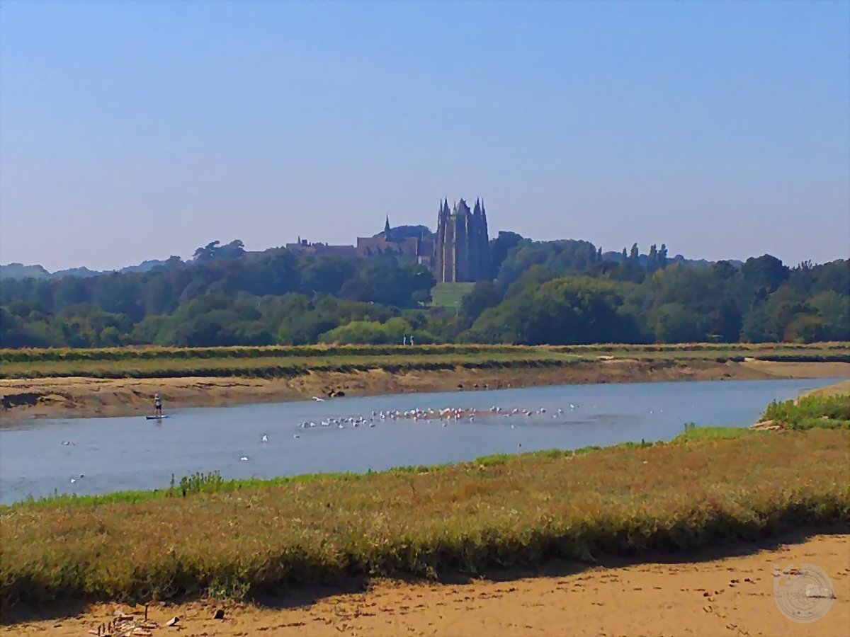 KentstepP's tweet image. Latest set, 26082019, Shoreham &amp;amp; Arun river, Sussex, UK