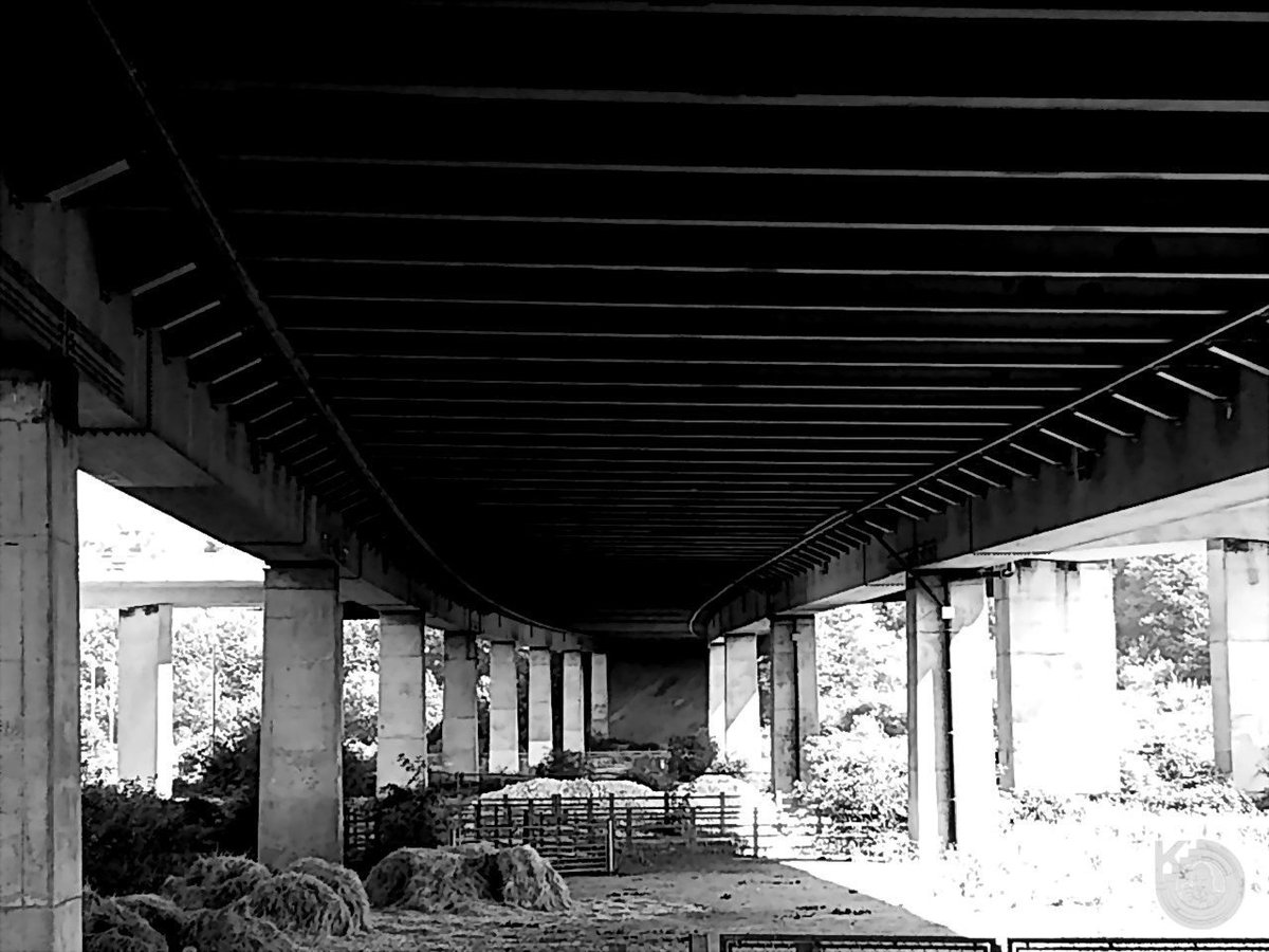 KentstepP's tweet image. Latest set, 26082019, Shoreham &amp;amp; Arun river, Sussex, UK