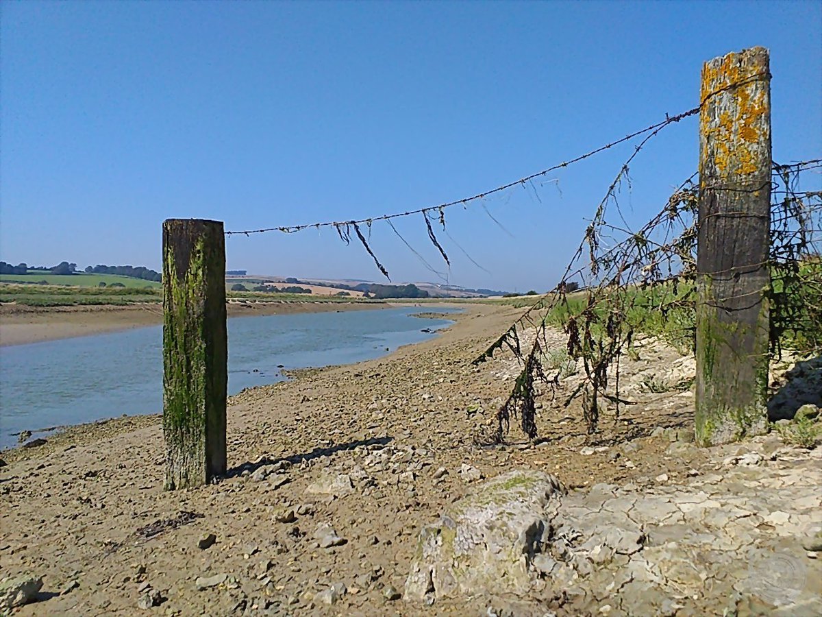 KentstepP's tweet image. Latest set, 26082019, Shoreham &amp;amp; Arun river, Sussex, UK