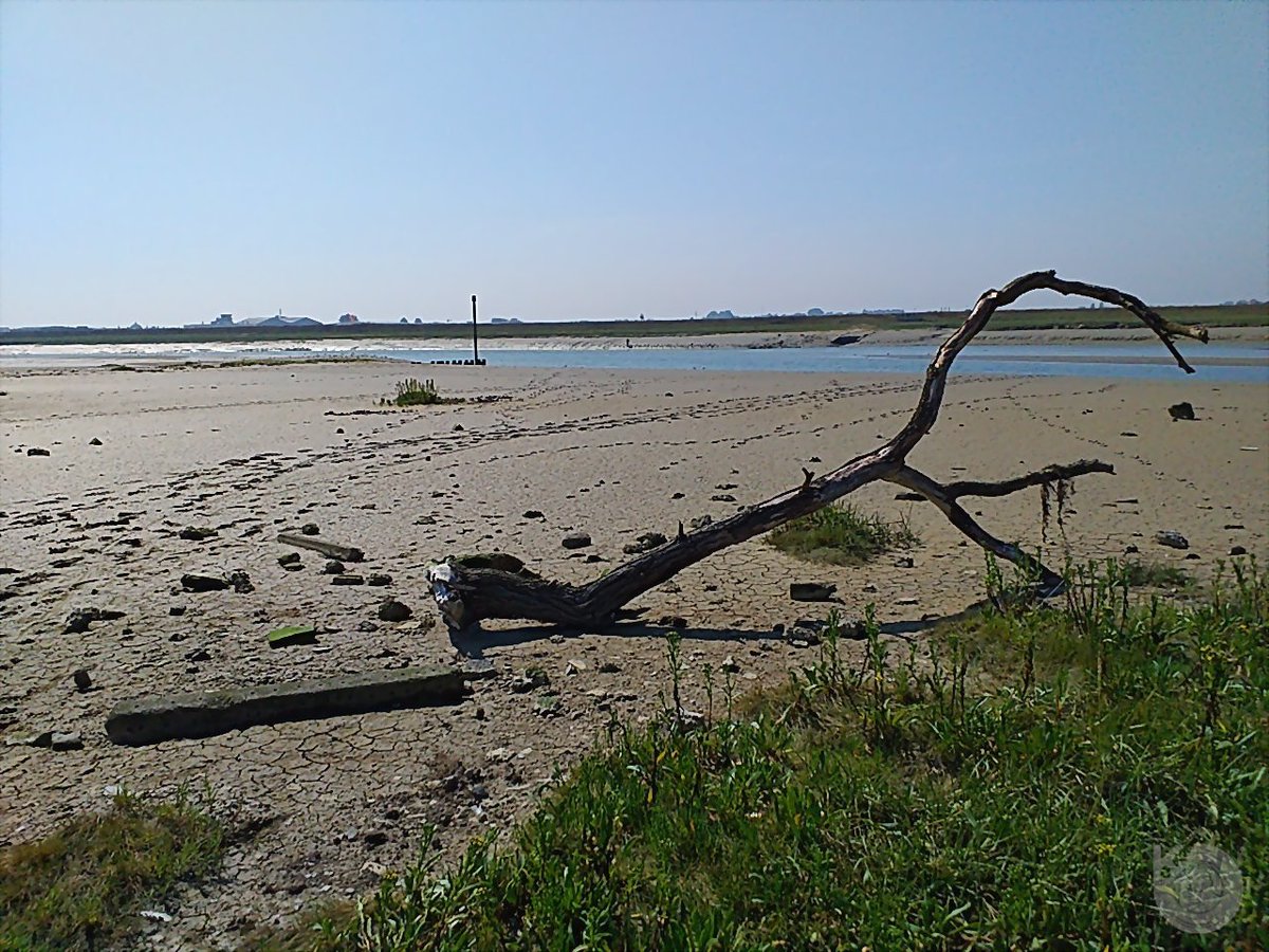 KentstepP's tweet image. Latest set, 26082019, Shoreham &amp;amp; Arun river, Sussex, UK