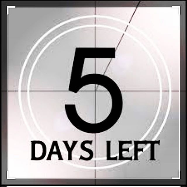 Analogue Gallery tweet media