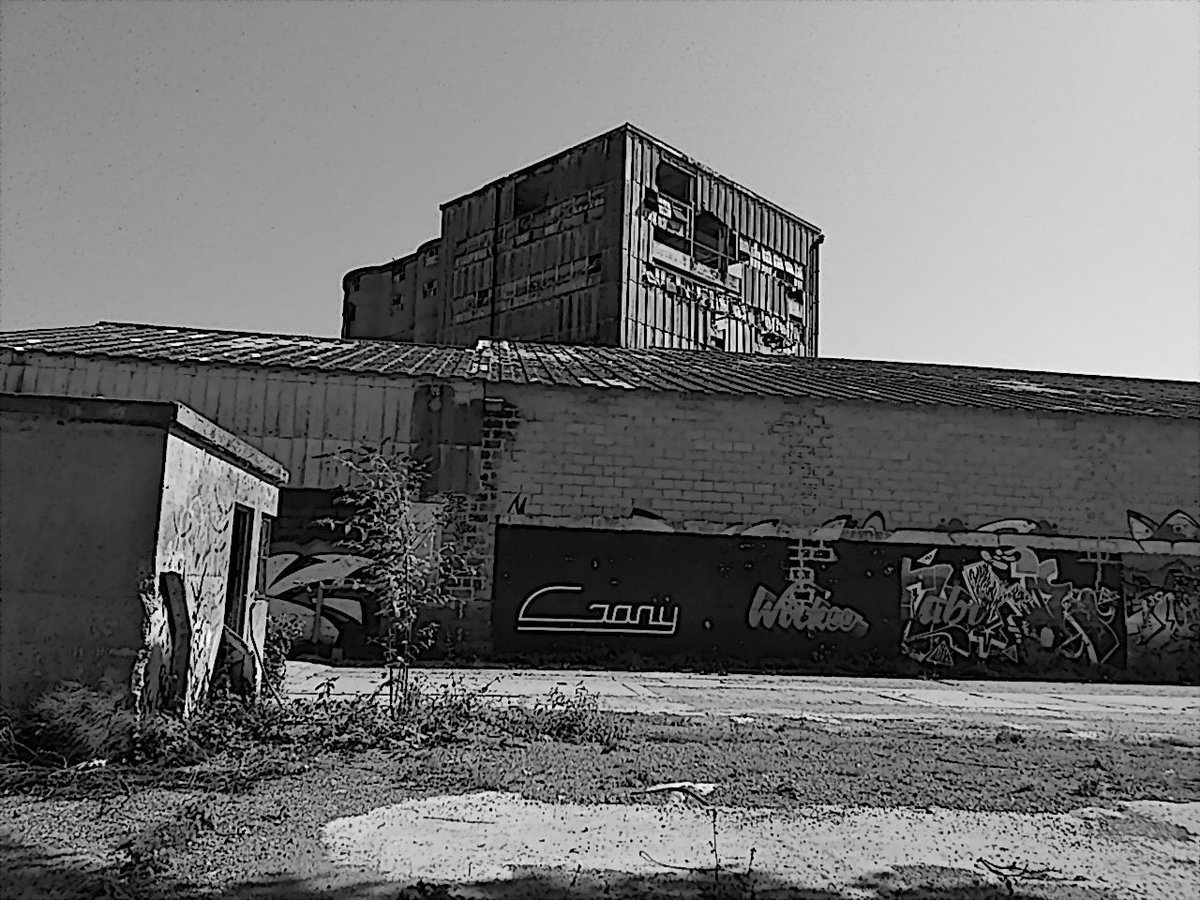 KentstepP's tweet image. Latest set, 26082019, Shoreham &amp;amp; Arun river, Sussex, UK