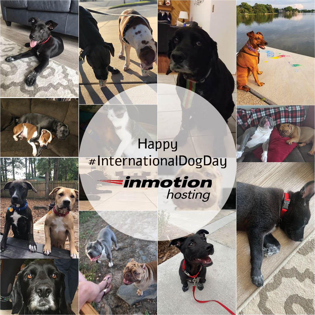 Image result for inmotion hosting down