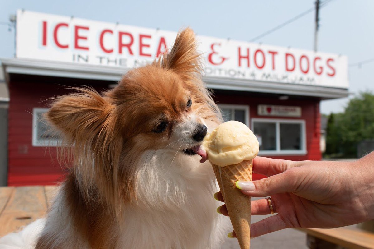 Happy #NationalDogDay!! 

We will be back open Wednesday at 3pm.