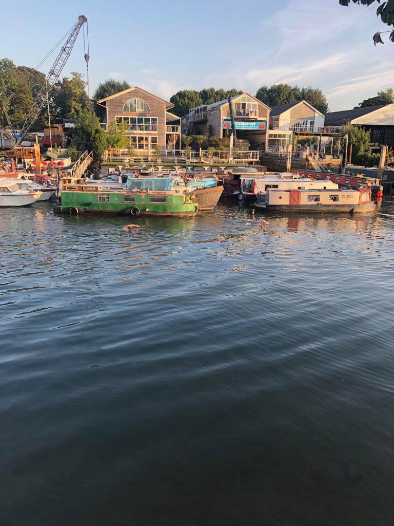 Storm in a Teacup tweet media