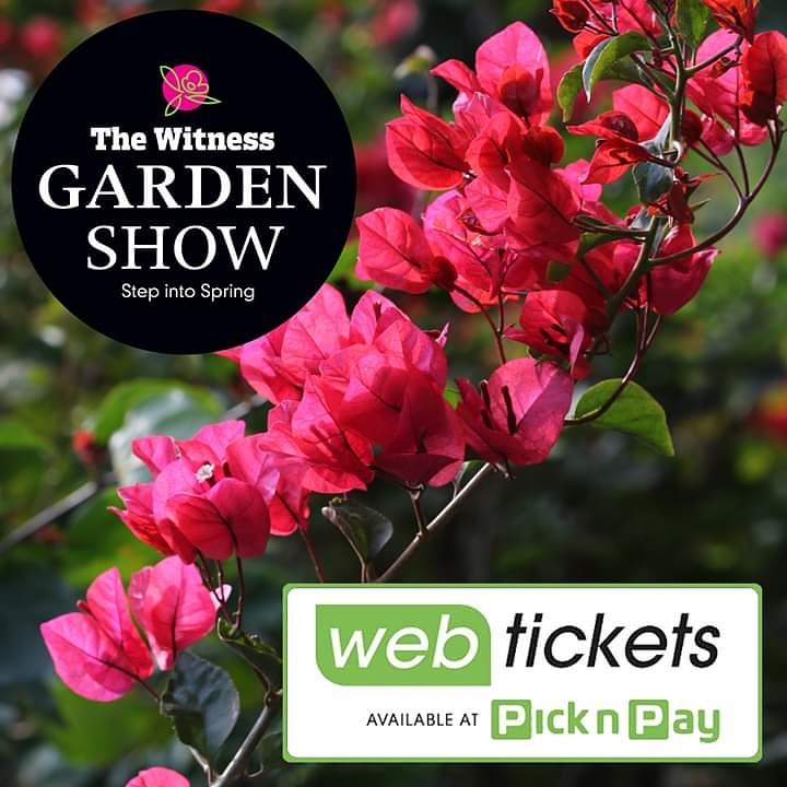 WMarketing6's tweet image. It's 2 weeks until the show! Get discounted tickets now from Webtickets! You can get a further discount by using your Pick n Pay Smart Shopper Card! 
webtickets.co.za/events/exhibit…
#StepintoSpring
#WitnessGardenShow
#gardenshowPMB2019
Official television media partner: The Home Channel