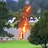 thorguardinc's tweet photo. The Thor Guard at East Lake GC this weekend went to Red Alert 20 minutes before the strike that hit this tree and injured spectators - So when you can't afford your own onsite meteorologist, get a Thor Guard Lightning Prediction system to give you advanced warning of lightning! https://t.co/Ad2gy2aQ50