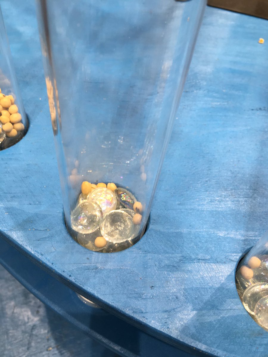 Ohhh Kirsten Gilibrand’s support at the Minnesota State Fair is...not robust.