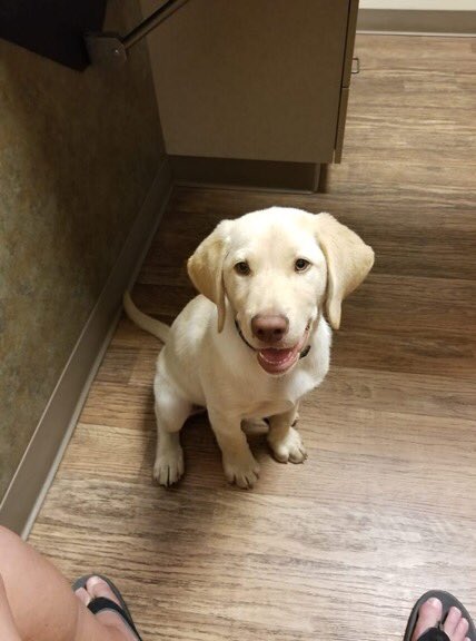 JohnShark4's tweet photo. The best day!! Oliver is growing up so fast ☺️ https://t.co/UgmUBDWkeK