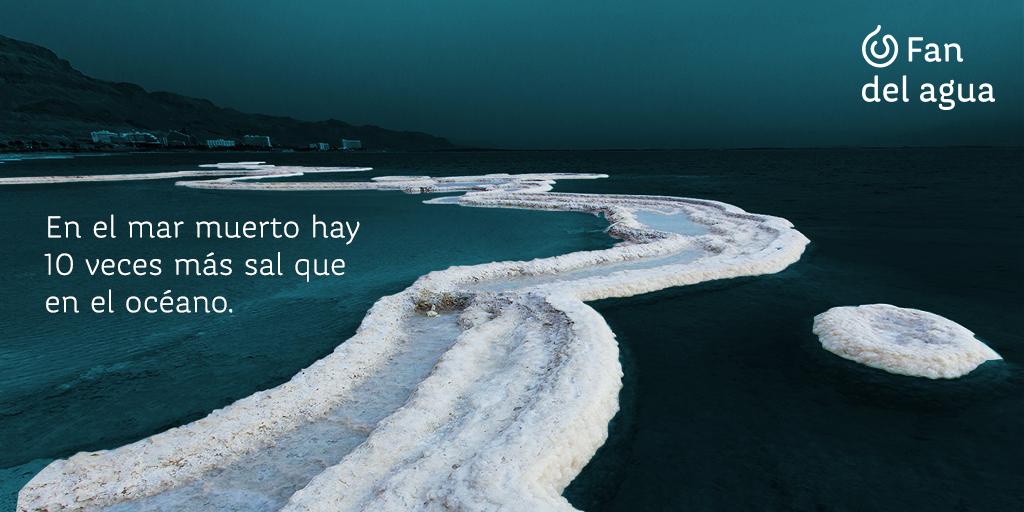 Fan del Agua tweet media