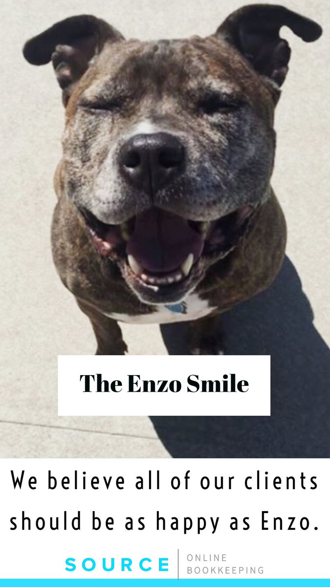 SourceonlineHQ's tweet image. We believe all of our clients should be as happy as Enzo. #sourceforce #sourceonlineHQ