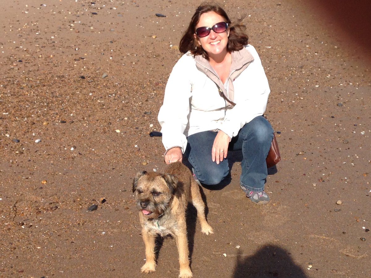 susan_sleight's tweet photo. Sam best Border Terrier in the world #biasedmaybe #lovedogs https://t.co/Q2iVx011pw