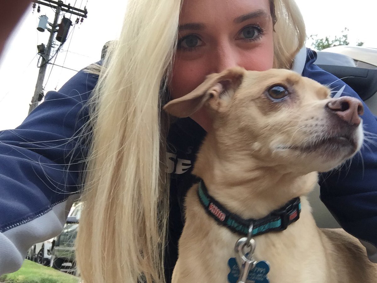 LindsayNadrich's tweet photo. Happy #NationalDogDay from Ollie. My boyfriend found him hurt, hiding under a car when he was just a puppy. Now 9 years later he’s extremely spoiled. ☺️❤️ #kgwdogs #portlandpups https://t.co/SEFIej5GeW