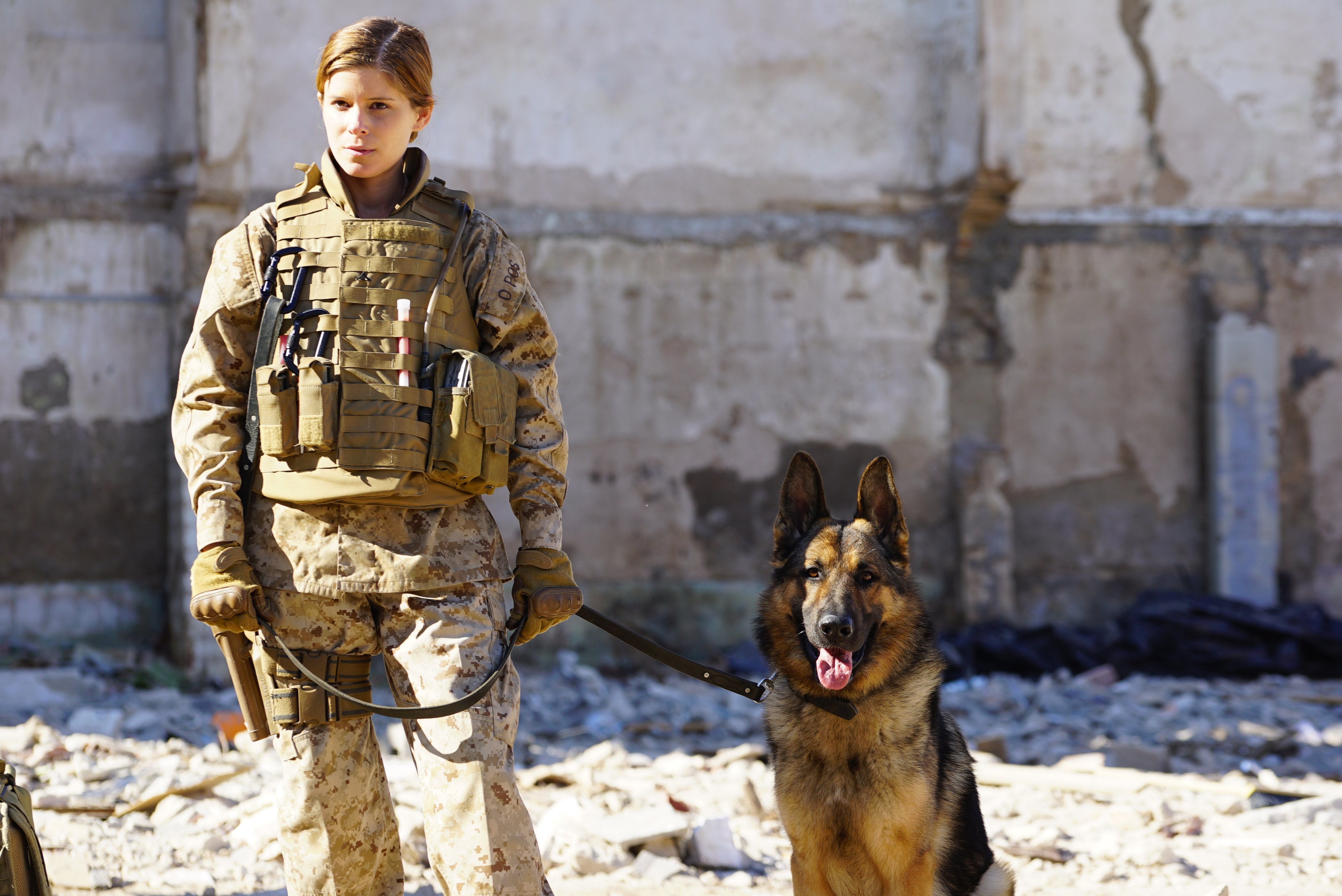 Bleecker Street on X: “Rarely do movies follow a woman in combat or look  at the canine sacrifice,” says #MeganLeaveyMovie Director Gabriela  Cowperthwaite. In honor of #WomensEqualityDay and #InternationalDogDay, we  celebrate Corporal