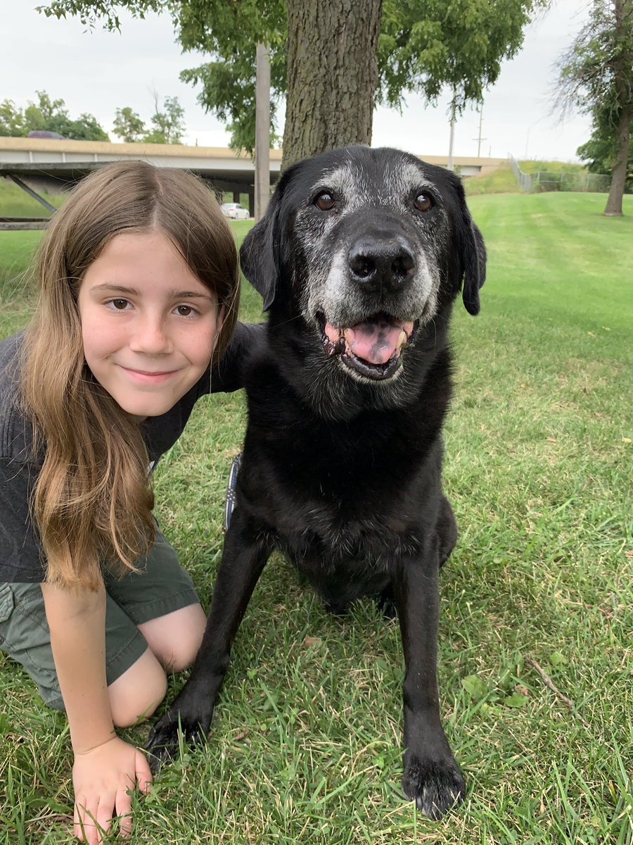 I pet Apollo. He is a 13 year old retired service dog. He worked for 11 years. Apollo was always there for his caregiver. It was hard for him to retire and see a new dog come in. Apollo still lives with his caregiver. Even though his legs and back hurt, he still tries to help.