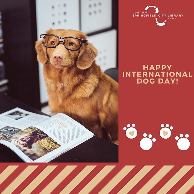 SpfldMassLib's tweet image. Happy International Dog Day! If you have any pictures of your book-loving fur friends we&apos;d love for you to share with us on Facebook!

#DogsofIG #SpfldMassLib #SpringfieldCityLibrary #SpringfieldMa #413 #WesternMass #WesternMassachusetts #Library #Librar… ift.tt/349Ohp0