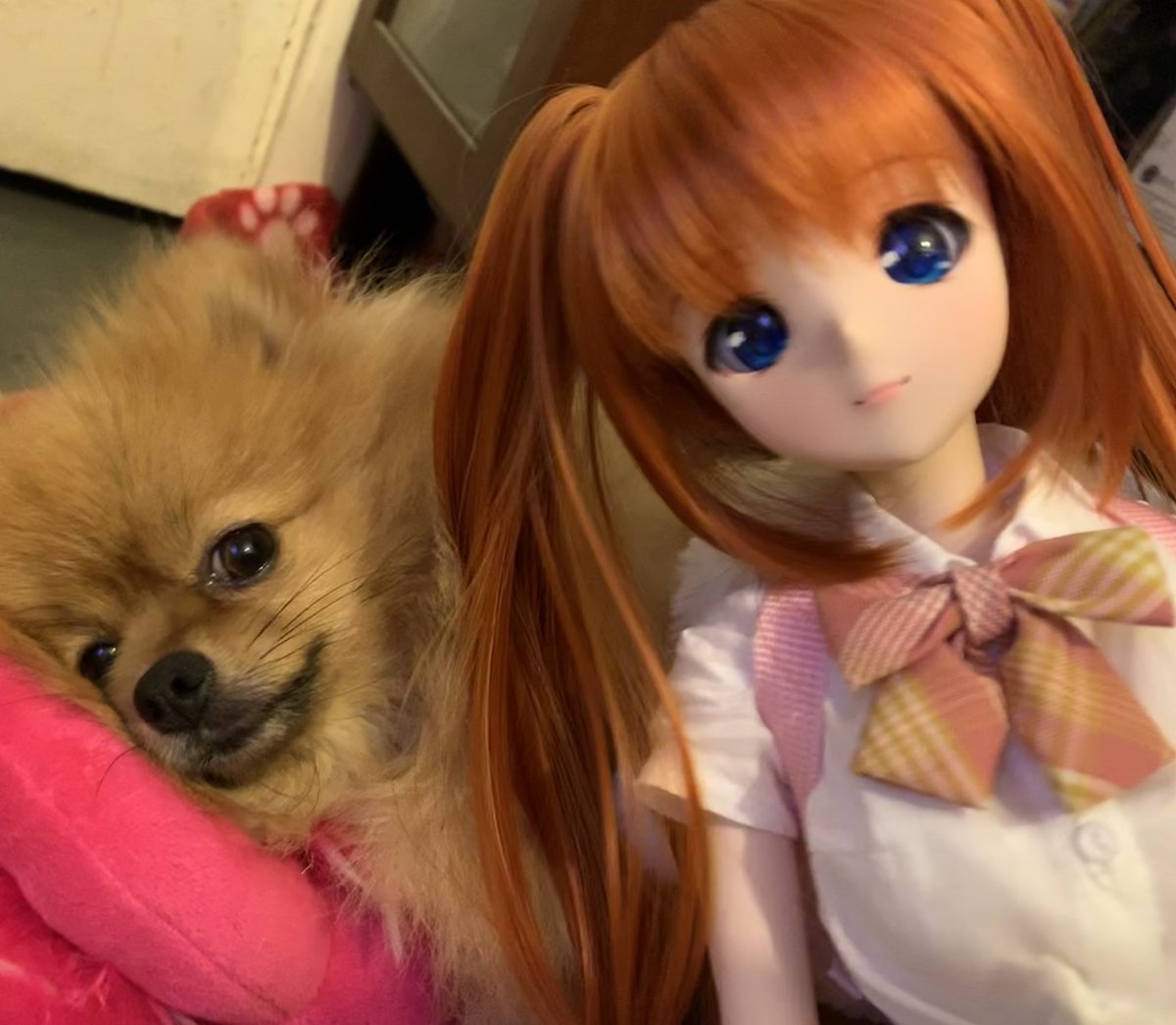 JaffaCake tweet media