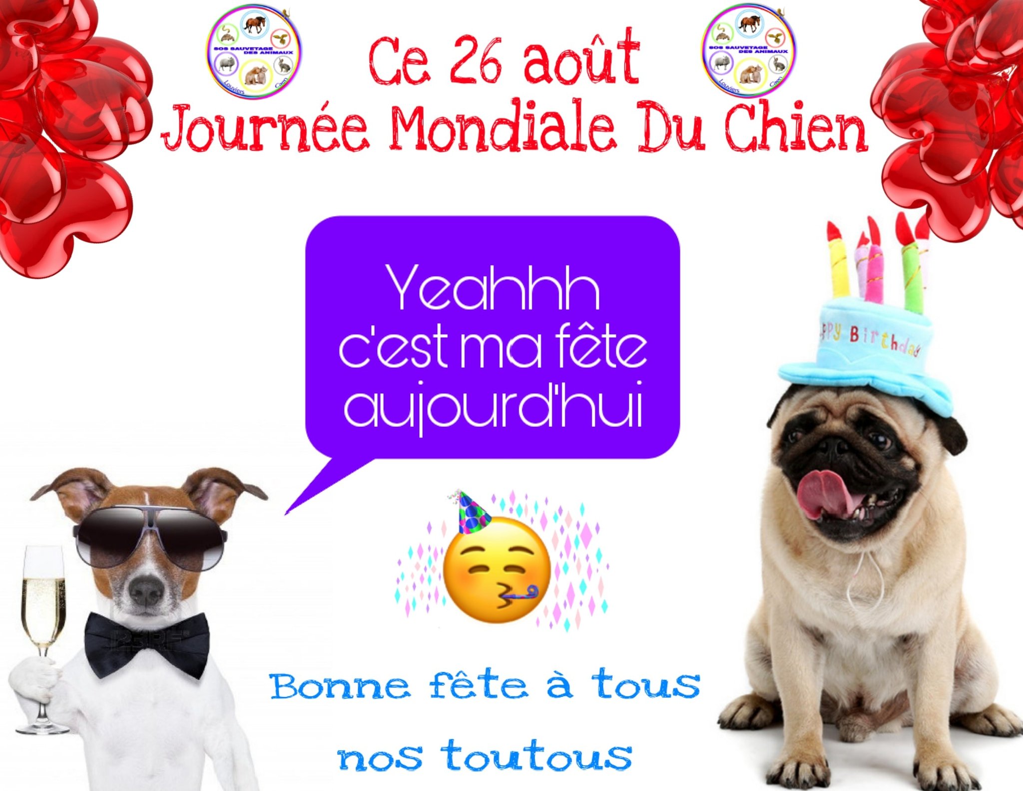 Sos Sauvetage Des Animaux Ce 26 Aout Journee Mondiale Du Chien Bonne Fete A Tous Nos Toutous T Co Kf5hn2hfgr Twitter