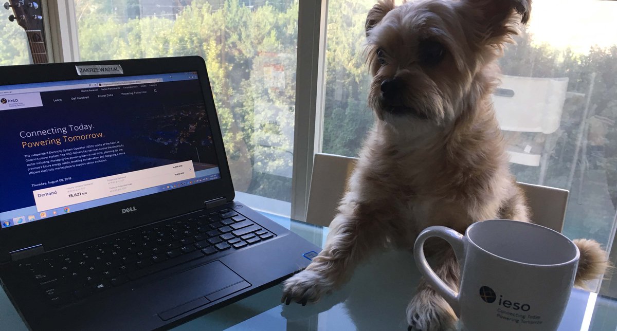 IESO_Tweets's tweet photo. Dogs are our best friends - especially those with an interest in the electricity sector. #InternationalDogDay2019 #employeepets https://t.co/XsCkjMEbnX