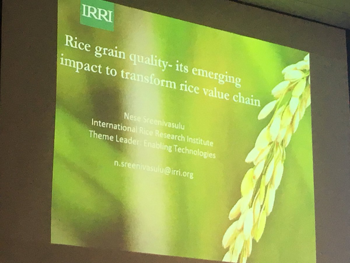 ausgrainscience's tweet photo. Nese Sreenivasulu @irri presents in the first session of #AGSA19. He says rice grain quality will drive the rice value chain. Excellent genomics for HRY #MillingQuality #CookingQuality. We also need to move beyond amylose as a proxy measure for texture. https://t.co/aHzTVte5hE