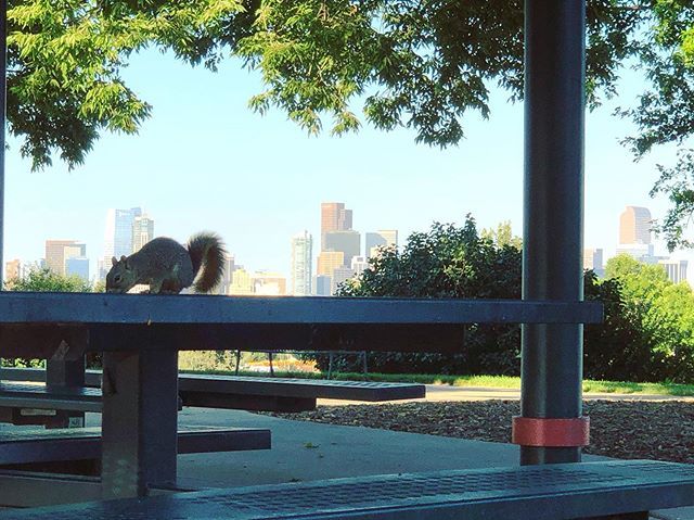 M_Marynik's tweet photo. Livin that #Amateur #Photographer Life in #Denver https://t.co/JOuV3FJFdK https://t.co/tLzxIKXCLz