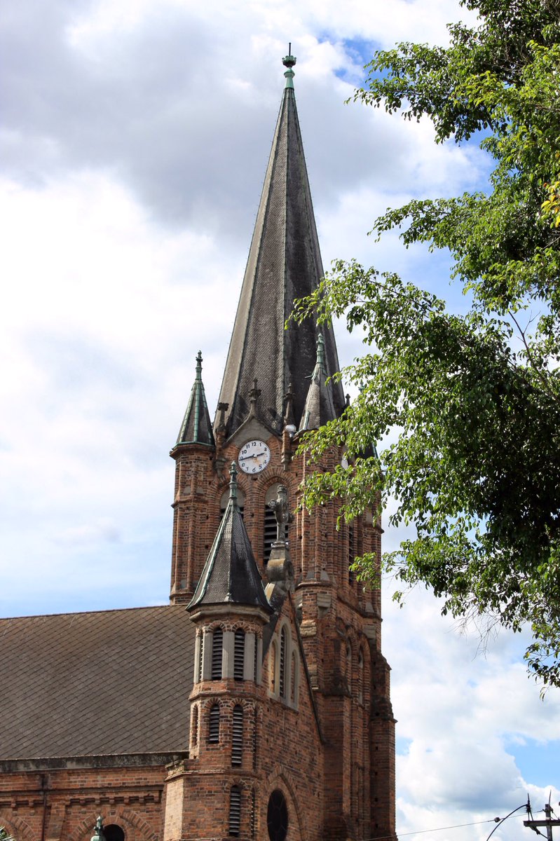 Magnificent Colombia tweet media