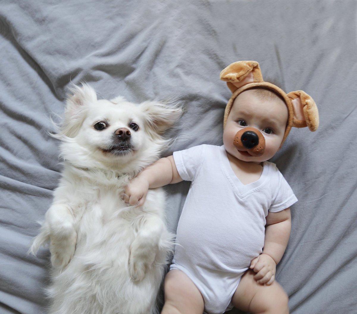 PLuckdragon's tweet photo. Happy Dog Day!
#InternationalDogDay https://t.co/0r5WKyAsbt