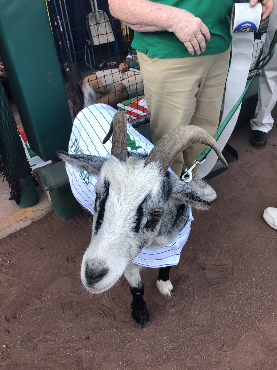 What a great way to spend #NationalDogDay raising enough K9 First Aid Kits for Hartford Police CT K9 Officers! Thank you Hartford Yard Goats and Circle K Farms Fancy Pants Cares for First Responders!!! What a beautiful night!!