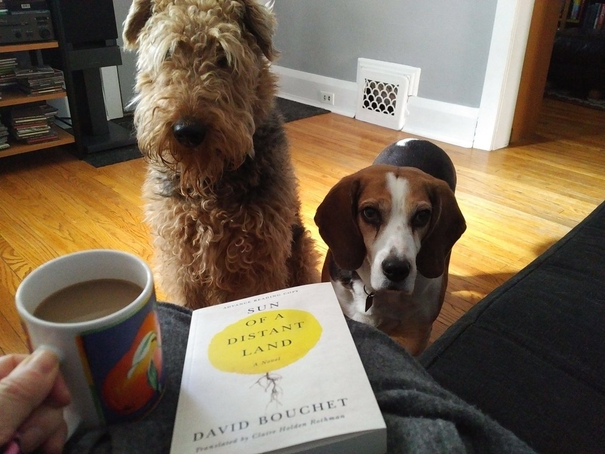 bookgaga's tweet photo. They're my best #readingcompanions ... and so much more. #InternationalDogDay https://t.co/52xrQJDSMV