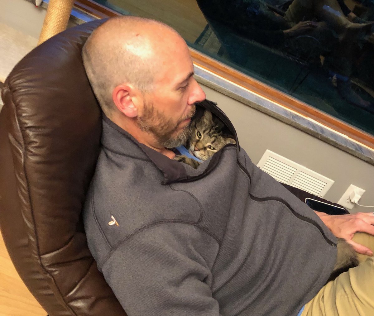 KarlHootAltese's tweet photo. I’m ready for fall #AutumnsHere #Caturday #CatSweater ⁦@mpharmd98⁩ https://t.co/HKFu4WPCZT