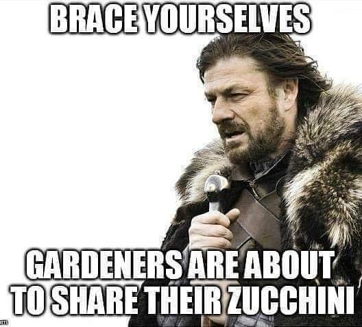 WIwondergarden's tweet photo. Filling up the freezers year after year ๐ฅ
#vegetables #vegetablegarden #zuchinni #spreadthelove #gardening #gardensofinstagram #reapwhatyousow #harvesting #growingfood #wisconsingarden https://t.co/EqplQWwMn2